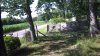 IPC-192.168.1.106--201472217377162.jpg