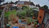 Back Garden.jpg