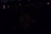 Back Garden light level.JPG