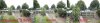 Camera view left to right.jpg