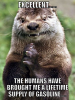 otter.png