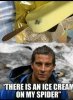 There-is-an-ice-cream-on-my-spider-meme-2980.jpg