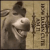 donkey-how-damn-cute-am-i.gif