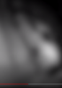 1637645931158.png