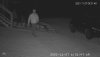 Cam5.20211127_063147303.73c.jpg