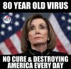 pelosi virus.jpg