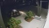 5842_night.jpg