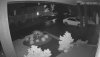 5831_night_ir.jpg