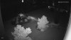 5842_night_ir.jpg