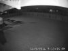 Backyard Camera with Security Light Tripped.jpg