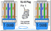 Cat5_T-568B.gif