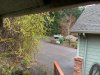IMG_3335.jpg