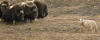1651799722356.png