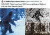 bigfoot.jpg