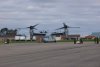 100_0303.JPG