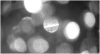 1661704585522.png