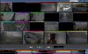 bi-blank-cams1.JPG