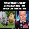 20221017_Chickens.JPG