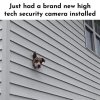 DogCam.jpg