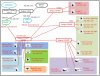 Net Topology- multi POE switches.JPG