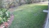 Backyard.20230122_154227398.104.jpg