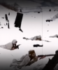 1679856272763.png