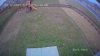 yard.jpg