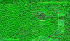back.20230602_080000366.2.jpg