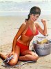 vintage-bikini-red-bikini_465_629_int.jpg