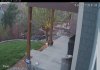 BackPatio-20170415-1951359195.jpg