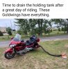 Goldwing.jpg