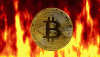 Bitcoin+Gifs+10-3583179384.gif