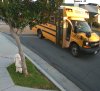 10623 School Bus Driver Texting b.jpg