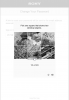 sony_bs_puzzle_15.png
