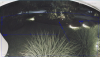 1711990229489.png