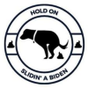 biden-slidn.png