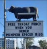 pumpkin spice ribs.jpg