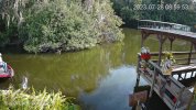 2-Home_GatorCam-Color4K-T_main_20230728085953_@5.jpg