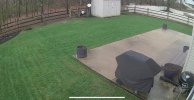 Backyard-3.jpg