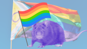 trans-rats-1-1024x576-352033240.png