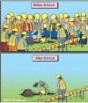 1746200204556.png