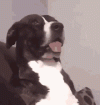 1746737288065.gif