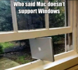 1747228232382.png