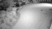 South_Backyard 2025-05-16 03.31.34.62 AM.jpg