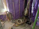 IMG_4541.jpeg