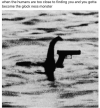 1748051056037.png
