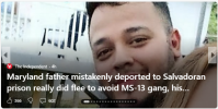 1748139182181.png