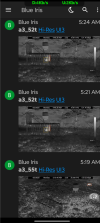 Screenshot_20250602-074624.png