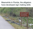 1748992456142.png