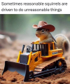 1749088144983.png